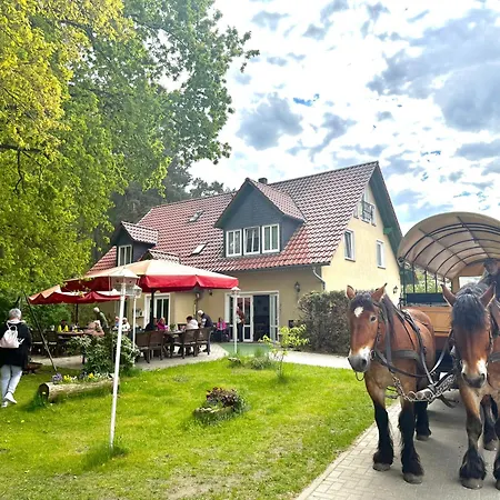 Zum Rheinsberger Leuchtturm Bed & Breakfast 3*